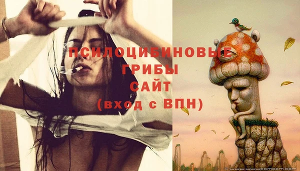 Альфа ПВП Алексин