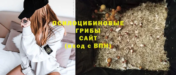 Альфа ПВП Алексин