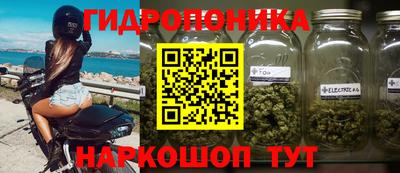 герыч Кингисепп