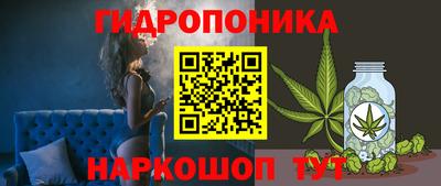 герыч Кингисепп