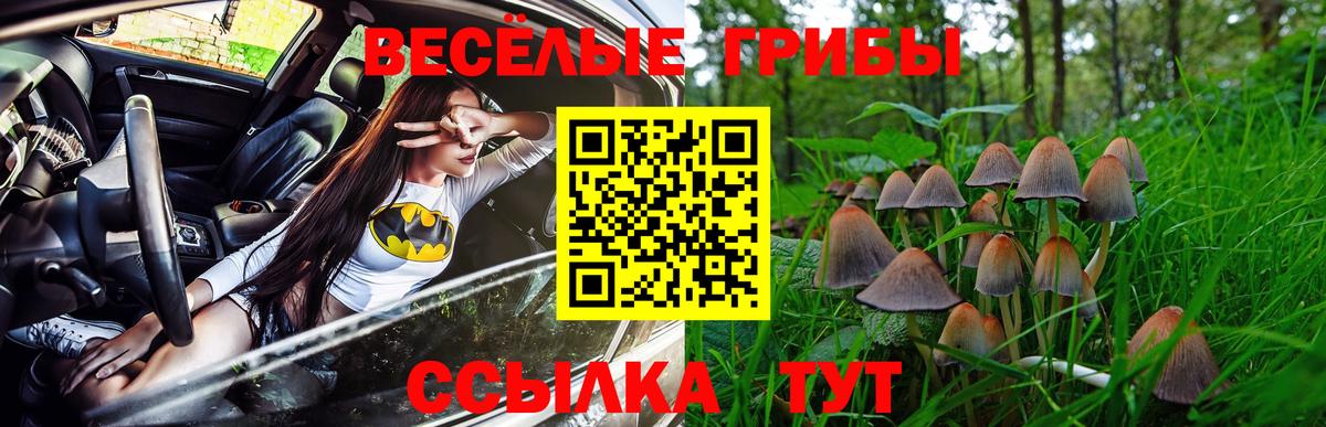 COCAIN  МЕФ  Бошки Шишки  Ленинск-Кузнецкий  Вход с VPN  Где продают наркотики?  Меф МЯУ МЯУ кристаллы  ГАШ  КОКАИН 