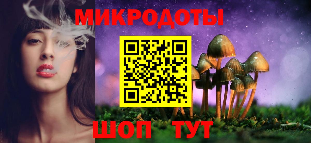 Псилоцибиновые грибы Psilocybine cubensis Ленинск-Кузнецкий